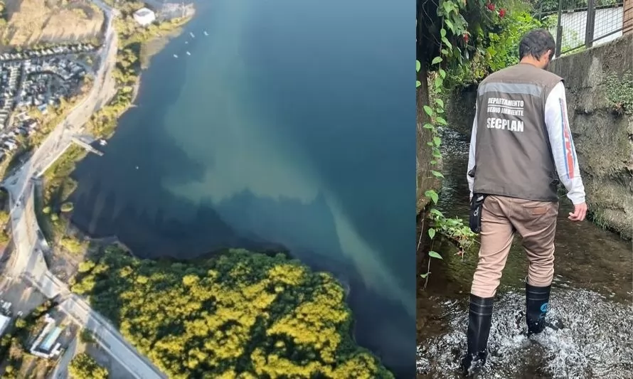 Realizan investigaciones por contaminación tras mancha en lago Panguipulli 