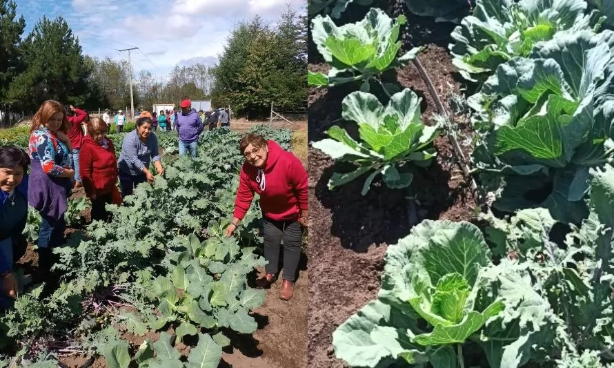 Junto a hortaliceros realizan actividad sobre agroecología como alternativa frente al cambio climático 