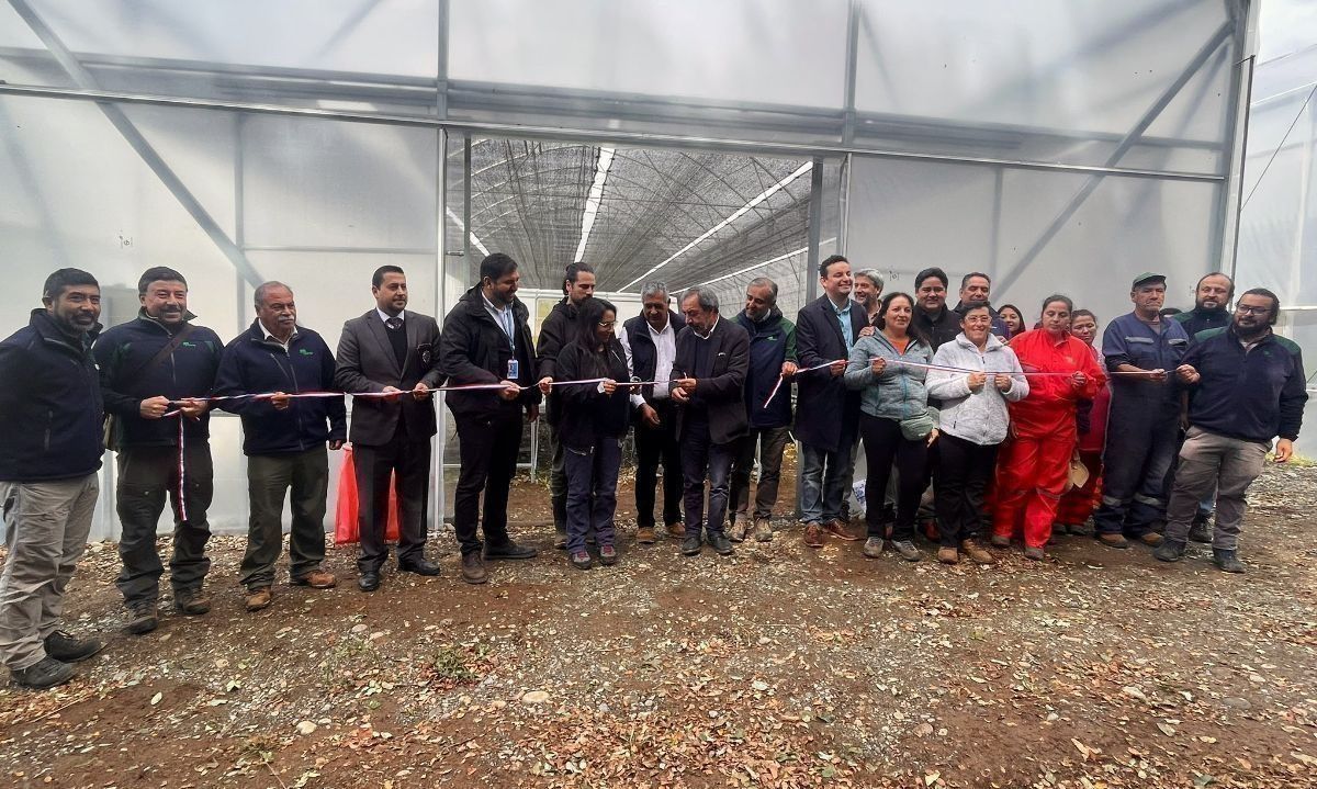 Inauguran nueva infraestructura de vivero para mayor abastecimiento de plantas en Los Ríos