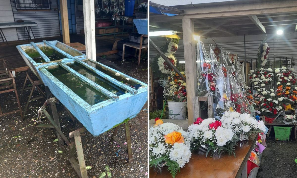 "Nos trasladaron a unas mediaguas": floristas de la Pérgola de Valdivia llevan 3 años esperando reconstrucción