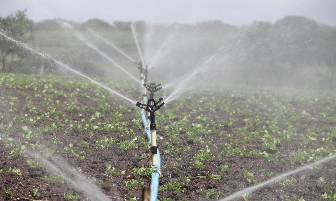 Certificado Azul: la alianza público-privada que afronta los desafíos en la gestión sostenible del agua