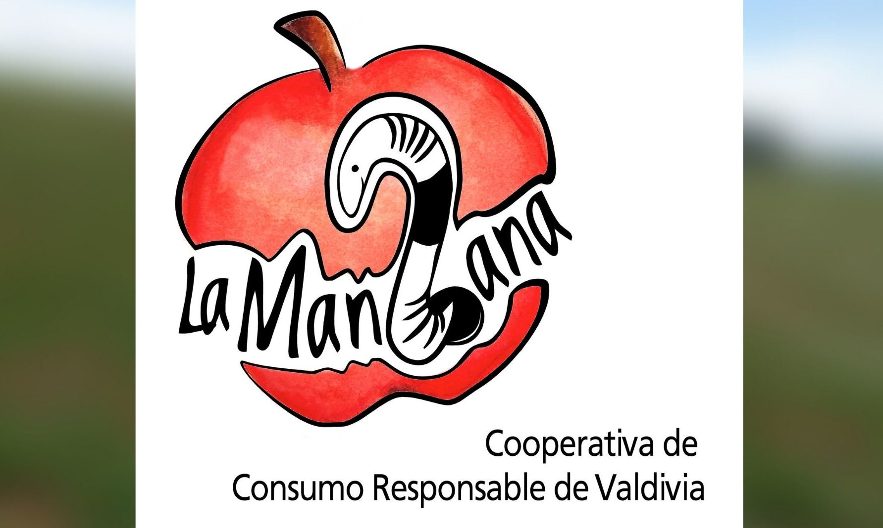 Cooperativa de Consumo Responsable La Manzana informa desvinculación de grupo de socias y socios