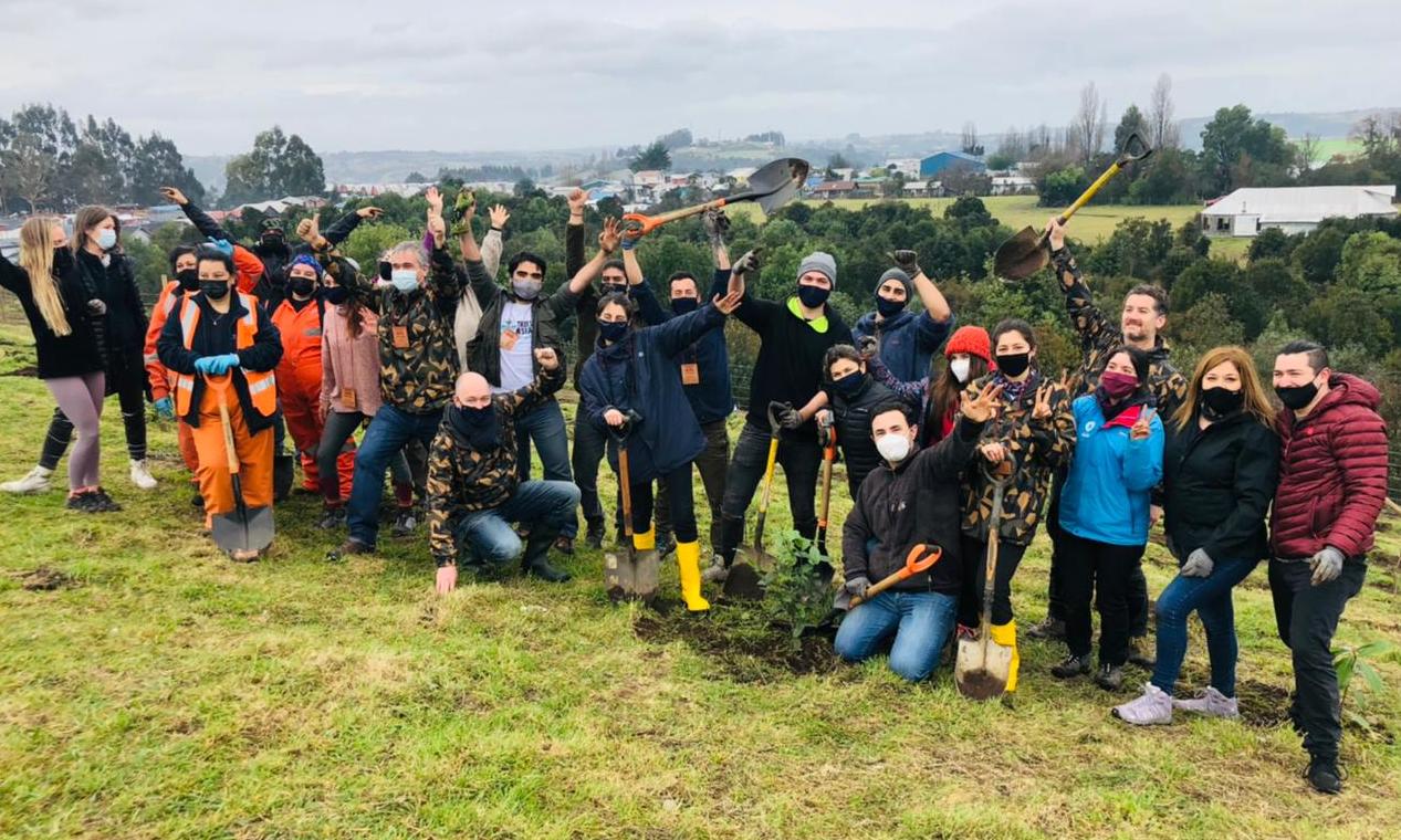 Laboratorio de innovación y sustentabilidad despliega estrategia de compensación ambiental en Isla Grande de Chiloé