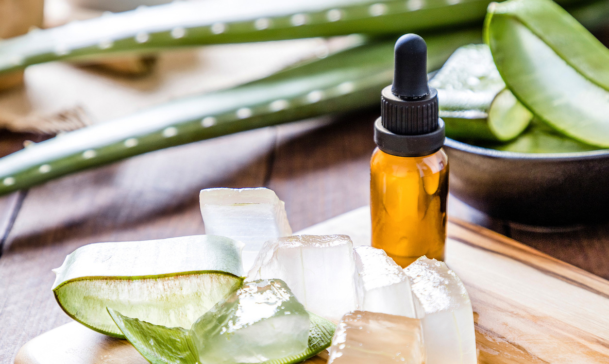 Introducción al Aloe Vera: descubre sus beneficios para tu piel