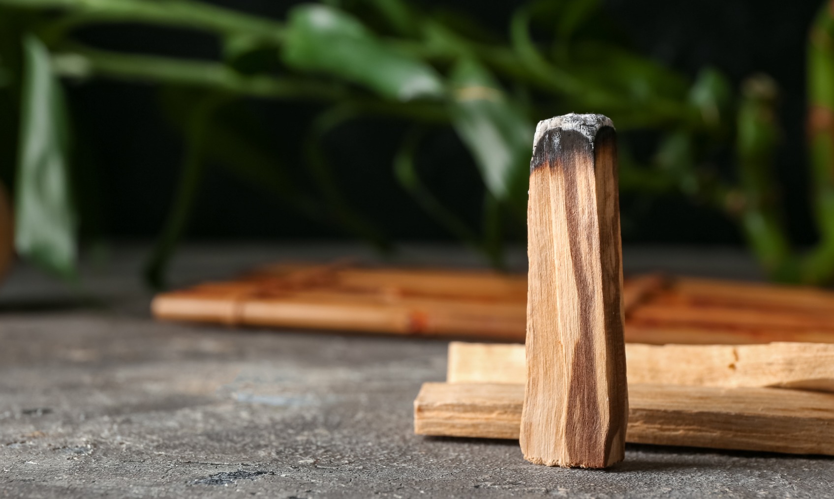 Guía Completa para Quemar Palo Santo: Beneficios, Técnicas y Prácticas