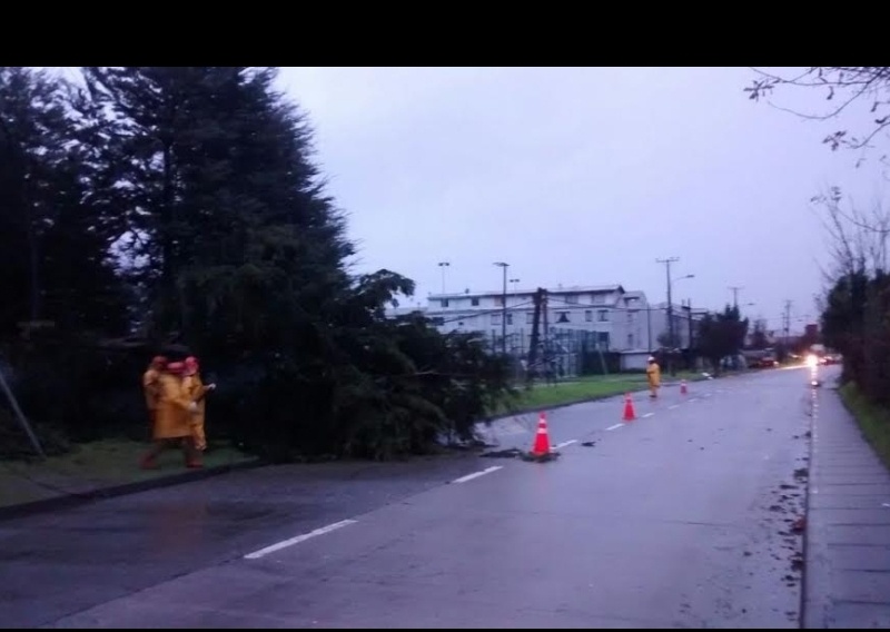 Temporal dejó sin energía eléctrica a 1.045 hogares de Valdivia