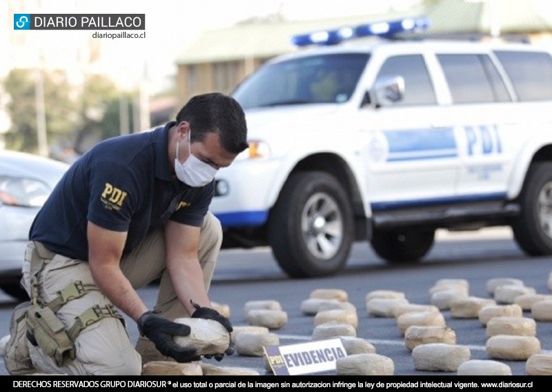 Banda internacional de narcotráfico operaba en sector rural entre Paillaco y Futrono