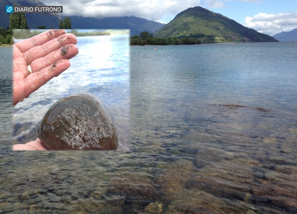 Unidad de Medio Ambiente recibió denuncia por posible contaminación en Puerto Las Rosas