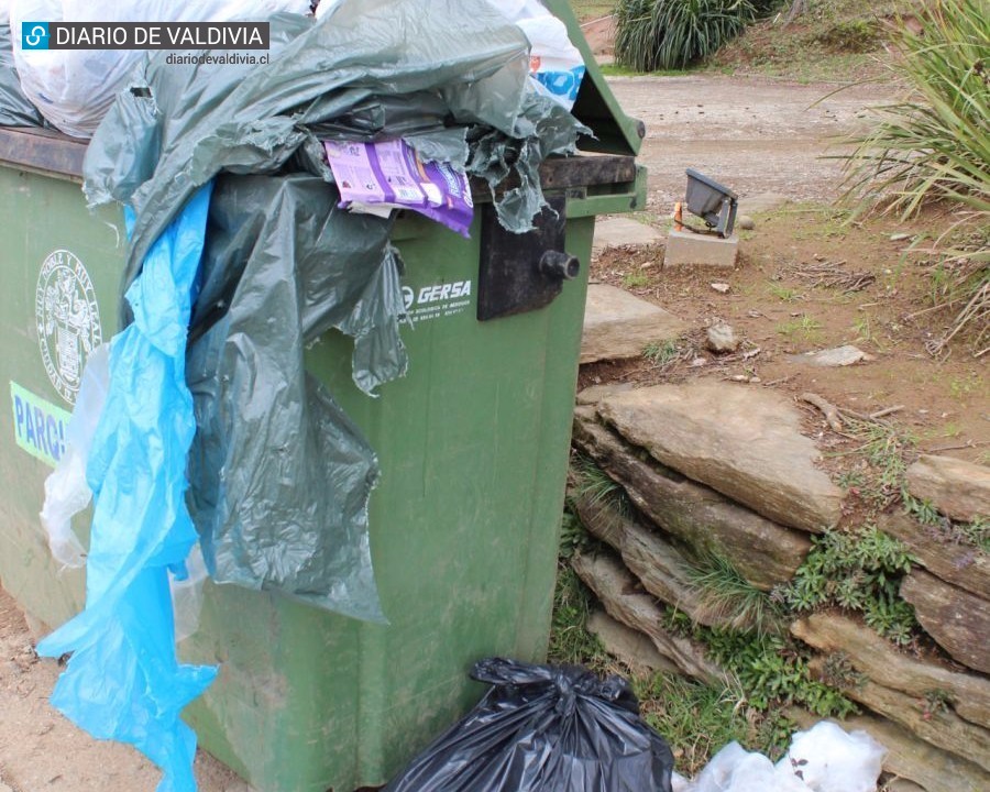 Atención vecinos: El 25 de diciembre y el  1 de enero no habrá recolección de basura en Valdivia