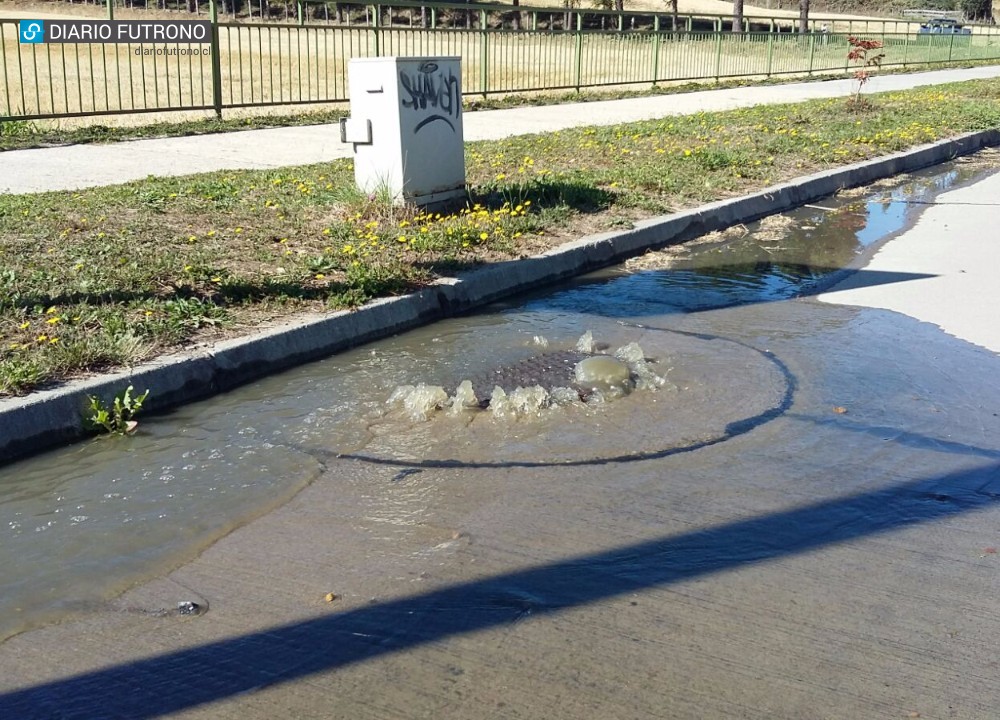 Futrono en alerta por nueva descarga de aguas servidas por parte de Essal al lago Ranco