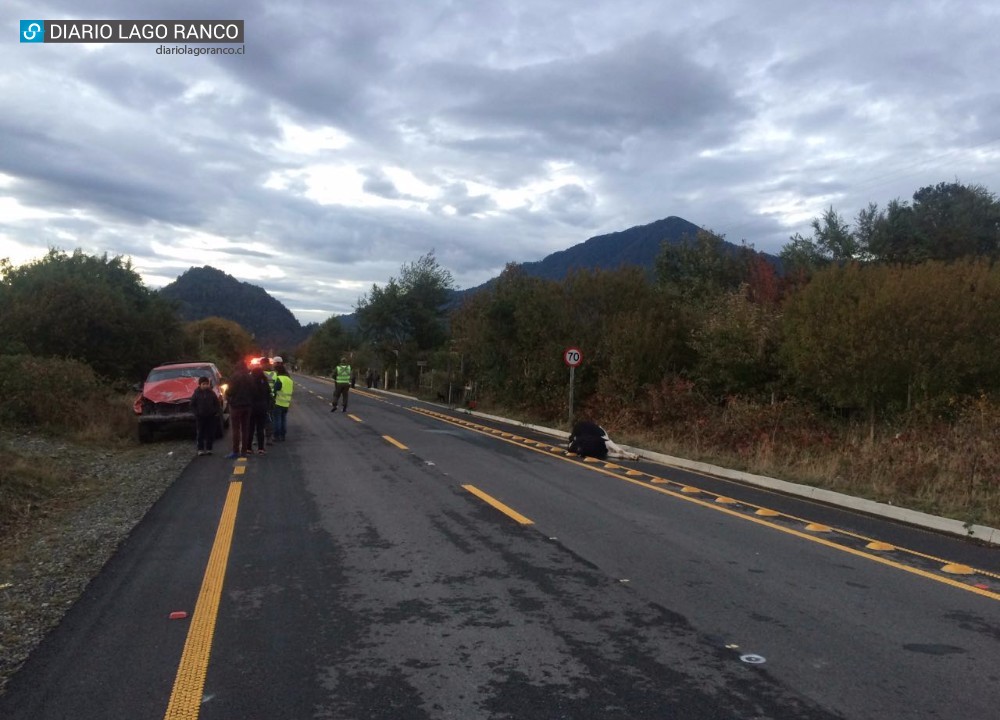 Ilesos resultaron ocupantes de camioneta que impactó un vacuno en Calcurrupe