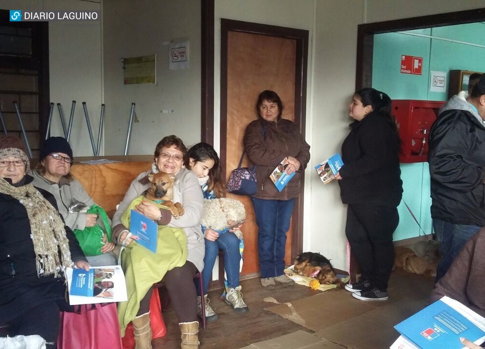 Con éxito se desarrolló primera jornada de esterilizaciones caninas y felinas 