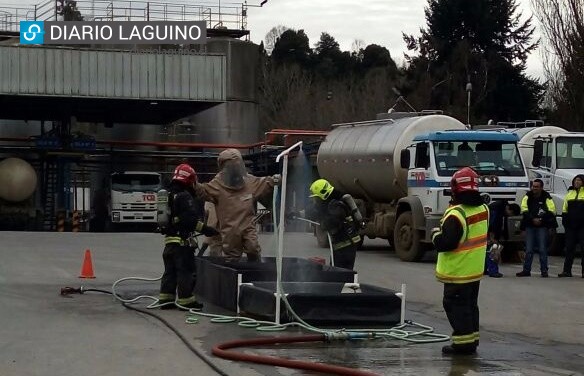 Simulacro de emergencia química se llevó a cabo en planta Prolesur