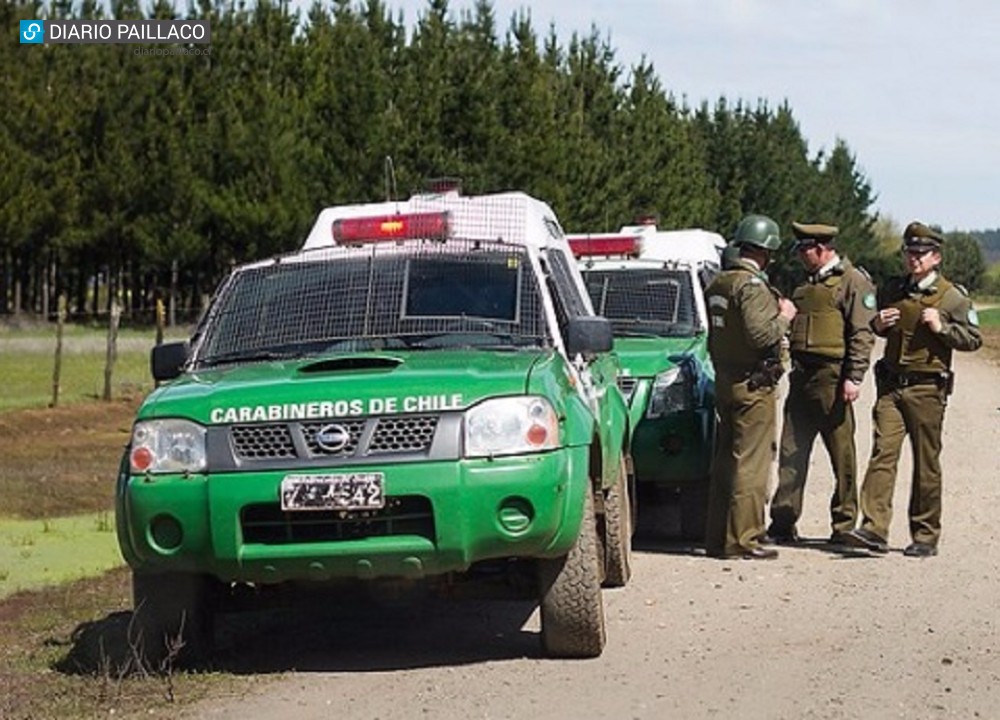 Carabinero de Pichirropulli descubrió a delincuentes que cometieron abigeato en sector rural de Valdivia