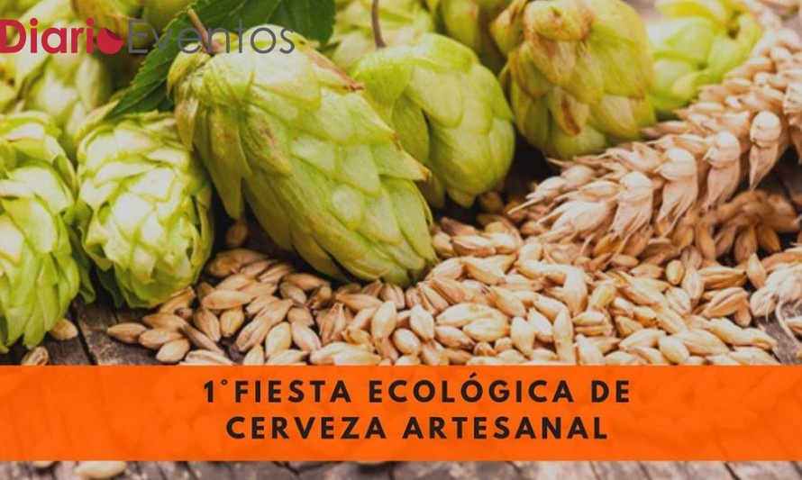 Valdivia tiene ahora cerveza artesanal y ecológica 