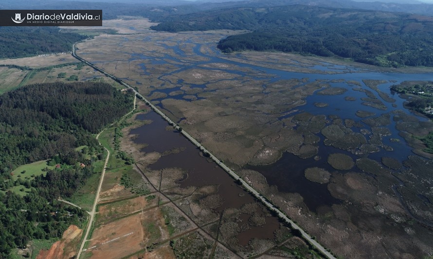 Este sábado 13 de abril comenzará proyecto “Red de Humedales de Valdivia”