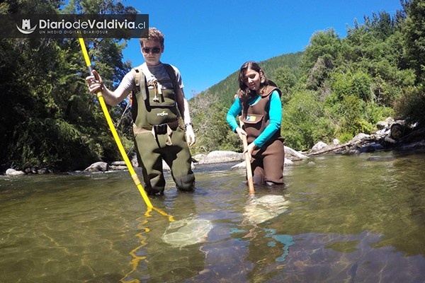 Especialista en peces nativos y estresores antrópicos en ríos realizará charla abierta para todo público