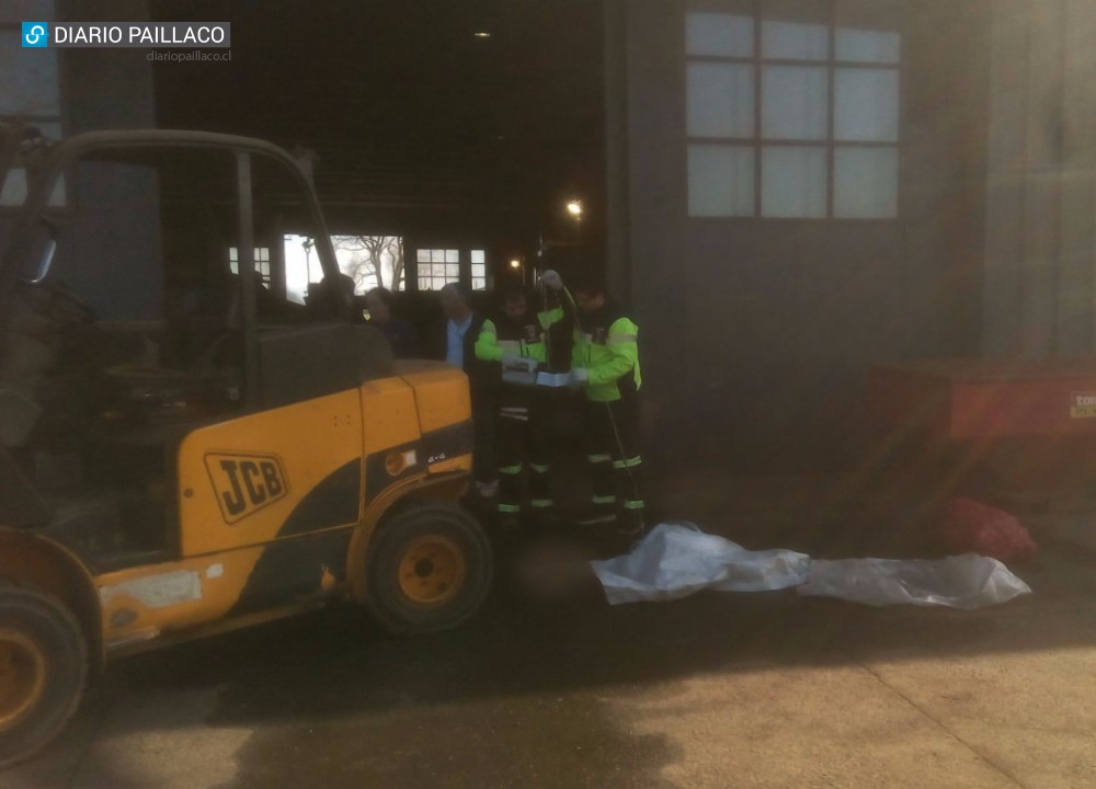 Joven falleció cuando realizaba faenas en Fundo Cotrilla de Paillaco