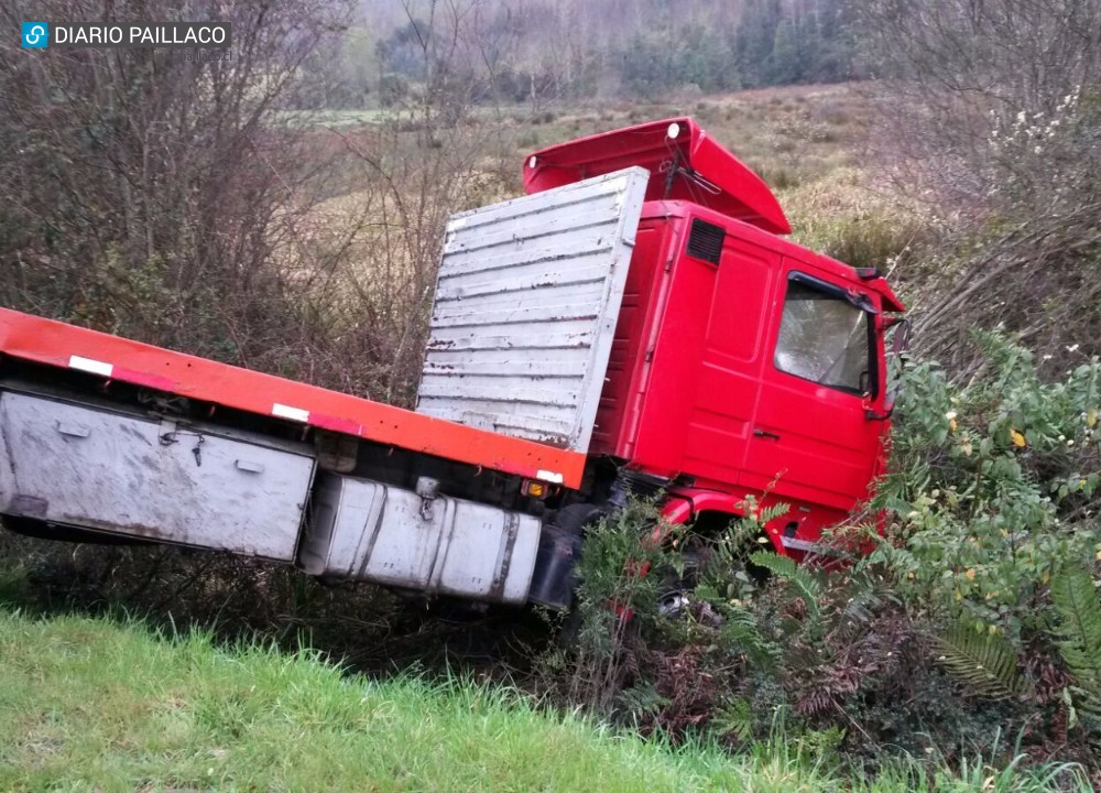 Camión se salió de la pista en ruta que une Paillaco y Valdivia