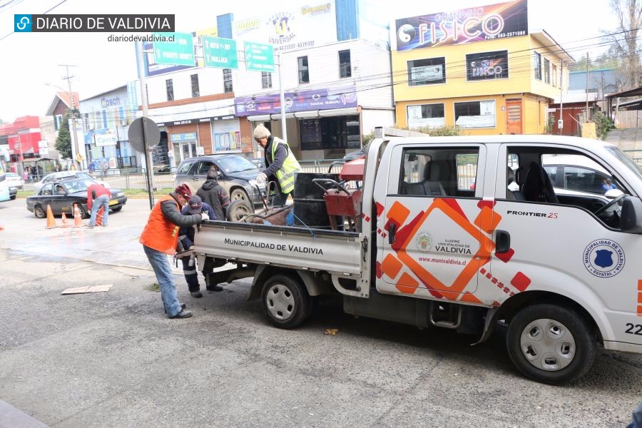 Municipalidad de Valdivia presentará proyecto de mejora en calle Luis Damann