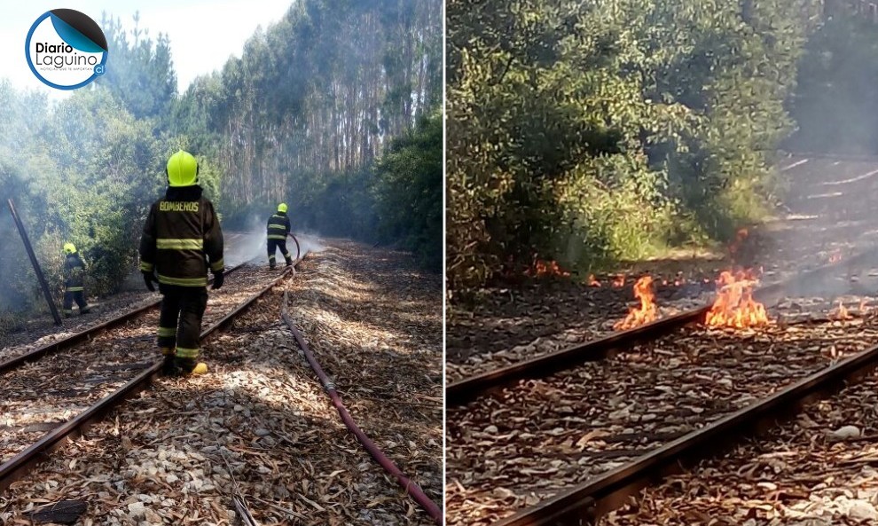 Carabineros de Antilhue llama a la prevención tras detectar inicio de incendio este domingo