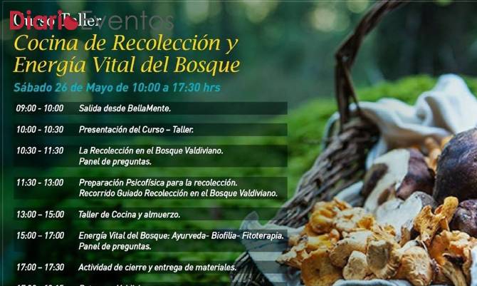 Taller para aprender a cocinar con lo que ofrece nuestro bosque