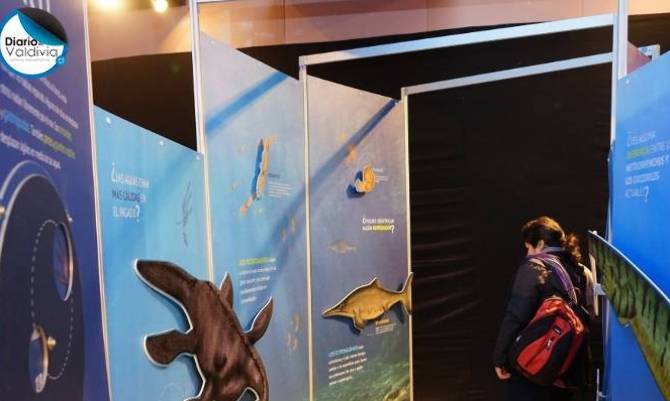 Más de 2.500 visitantes llegaron a la exposición Fósiles en su primer fin de semana en Valdivia
