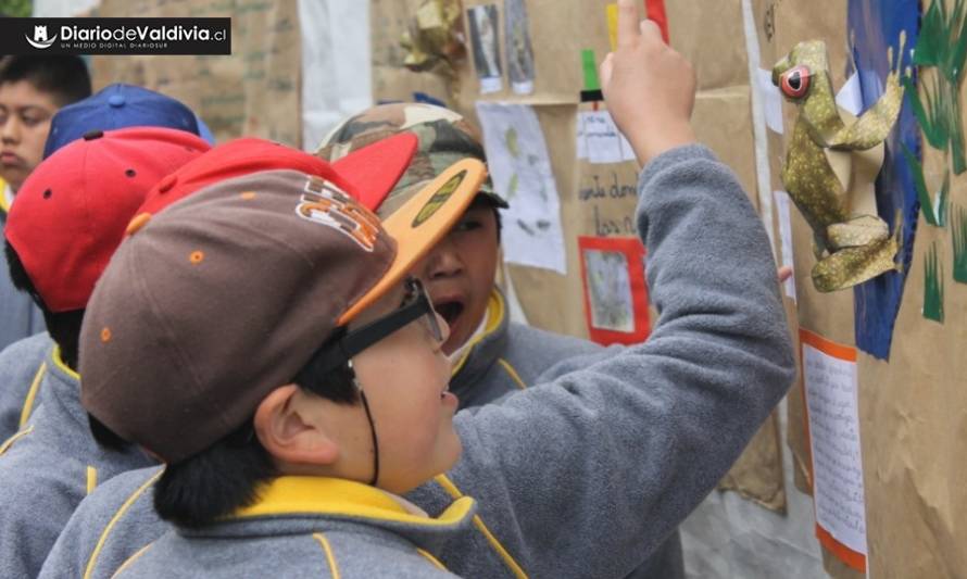 Proyecto de conservación finaliza programa de educación ambiental en Mariquina