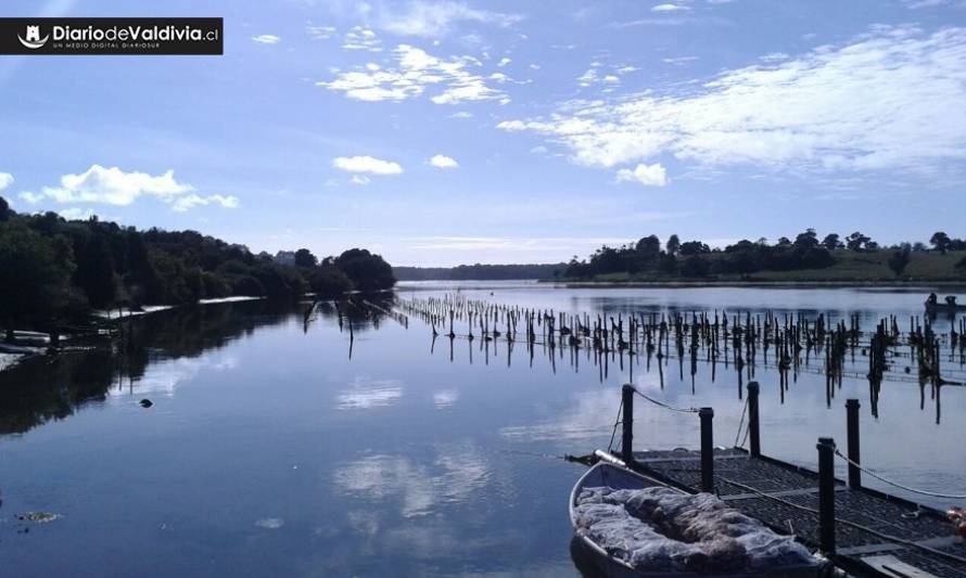 Cursos internacionales de ecología y arquitectura se desarrollarán en Chiloé