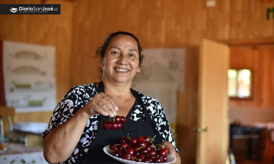 Muestra de la Cultura y la Cereza de Tralcao: importante ayuda económica para las mujeres de la zona