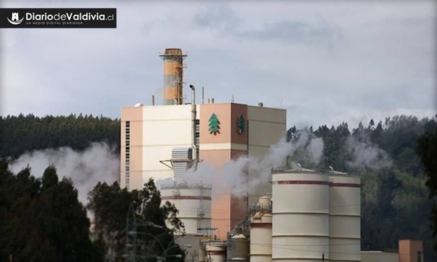 Dirigentes sociales celebran formalización a funcionarios de Arauco por daño ambiental