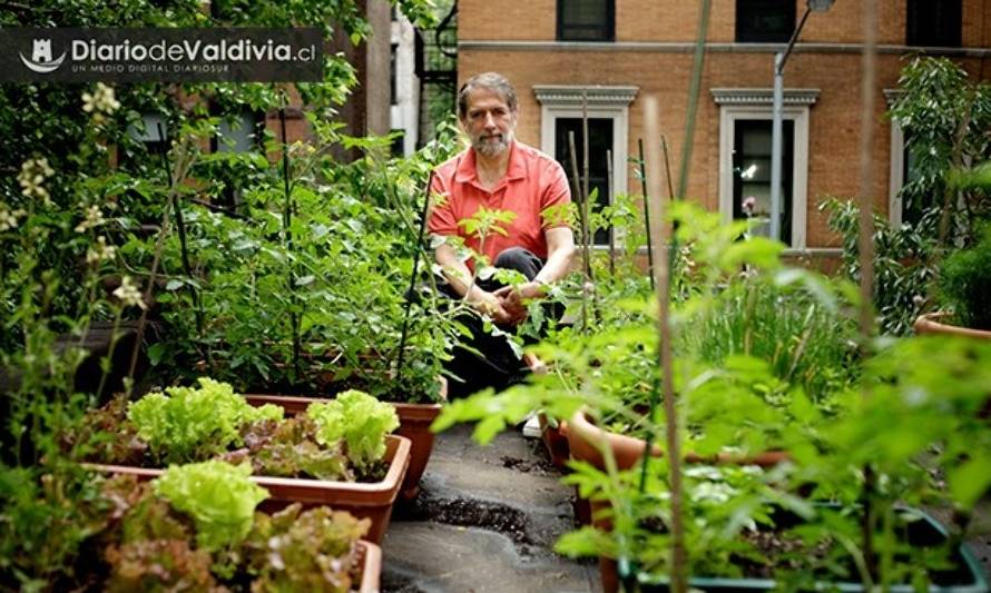 Últimos cupos para aprender a producir alimentos saludables y sustentables