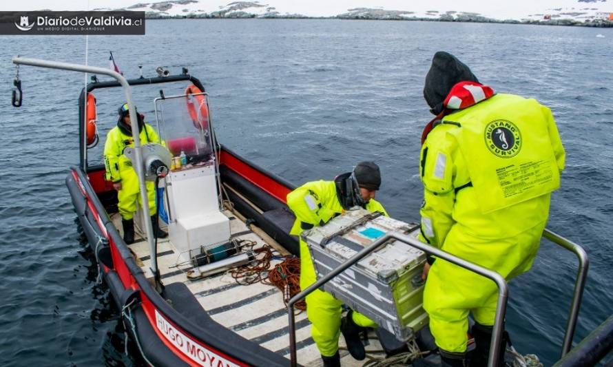 Chile tendrá su primer sistema de monitoreo de acidificación de los océanos en la Antártica