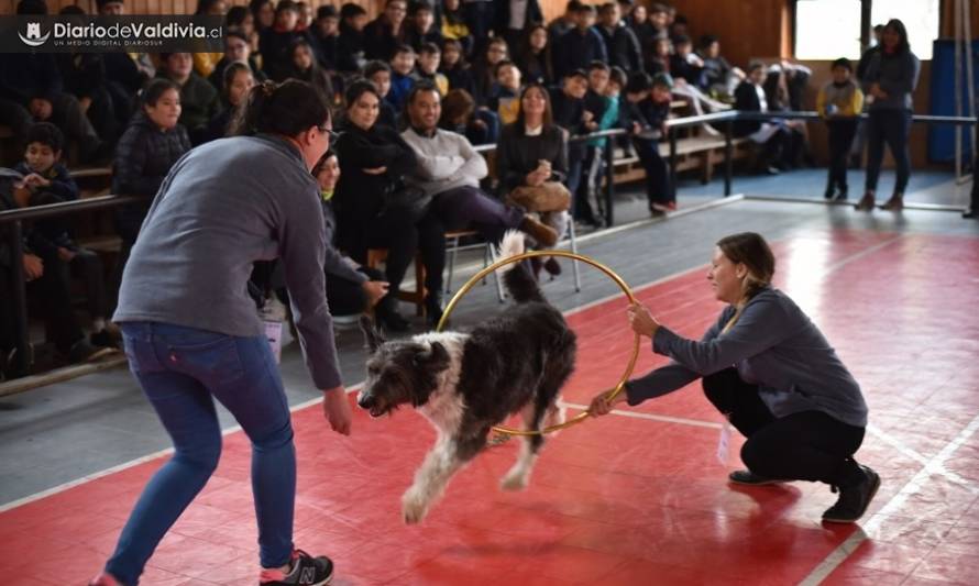 7 talleres de gratuitos sobre educación y tenencia responsable de mascotas para colegios