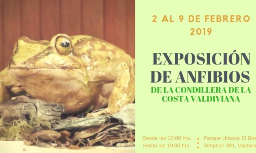 ATENCIÓN NIÑOS: Hasta este sábado dura la exposición "Anfibios de la Costa Valdiviana"