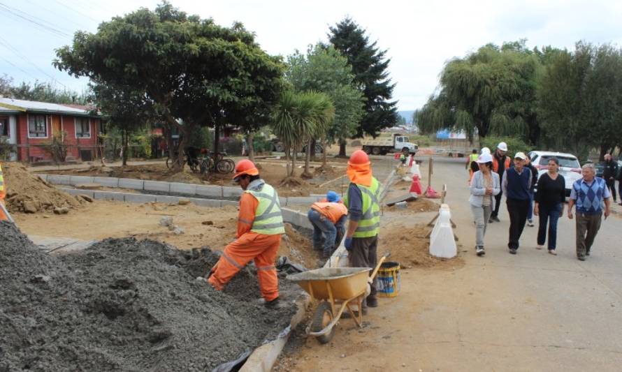 Obras ya están en marcha: Nuevas y mejores áreas verdes para sector Parque Urbano de Valdivia