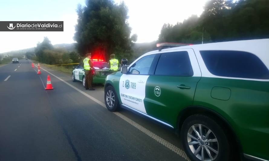 Investigan posible atropello de un hombre en la ruta Valdivia-Paillaco