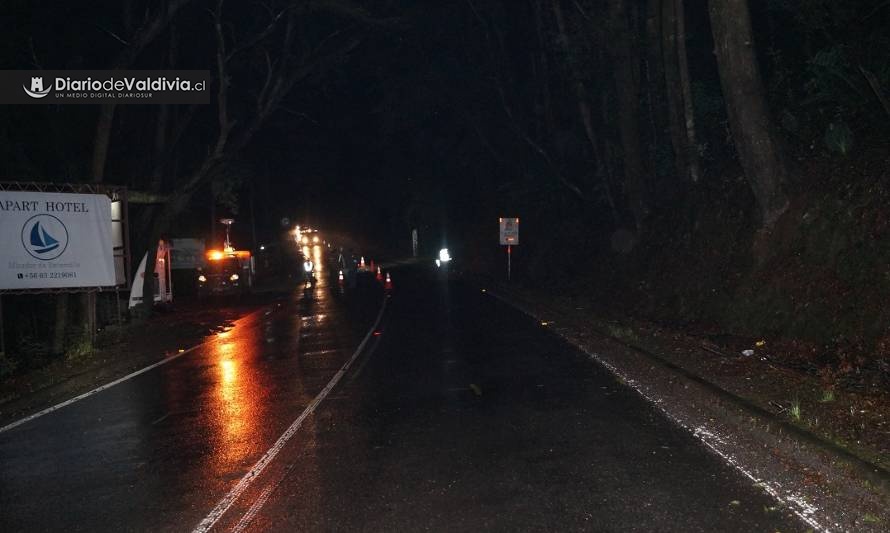 Identifican a hombre que falleció en accidente de tránsito en el camino a Niebla