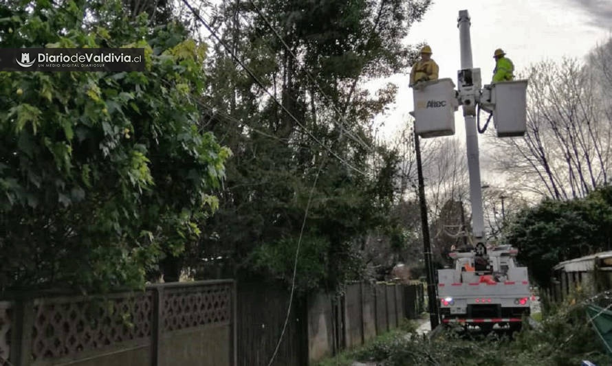 Balance Saesa: lluvias provocan cortes en Mariquina, Corral, Panguipulli y costa valdiviana