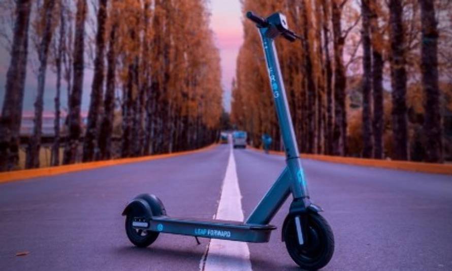 ¡Sobrevivieron!: Frog anuncia más scooters en calles de Valdivia