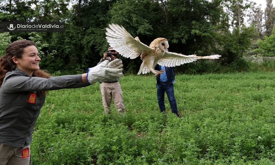 Reinsertando en la naturaleza a los animales silvestres rescatados 