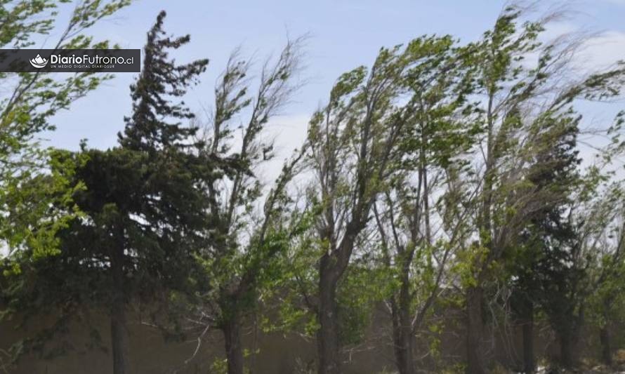 Alerta Temprana Preventiva por presencia de viento en zona precordillerana de Los Ríos