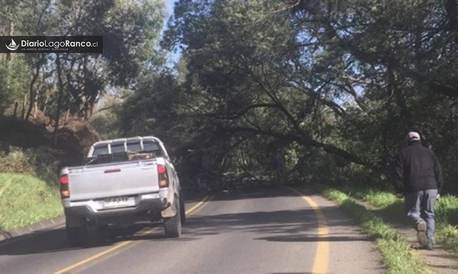 Suspenden clases en Lago Ranco por fuertes vientos