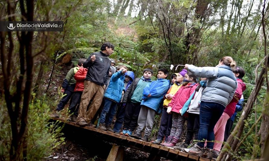 Centro de descubrimiento de la naturaleza sorprende en plena selva valdiviana 