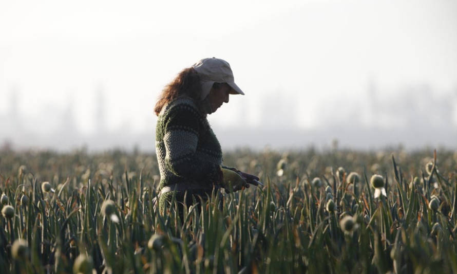 Día Internacional de las mujeres rurales: En Chile son invisibles, confinadas y desamparadas