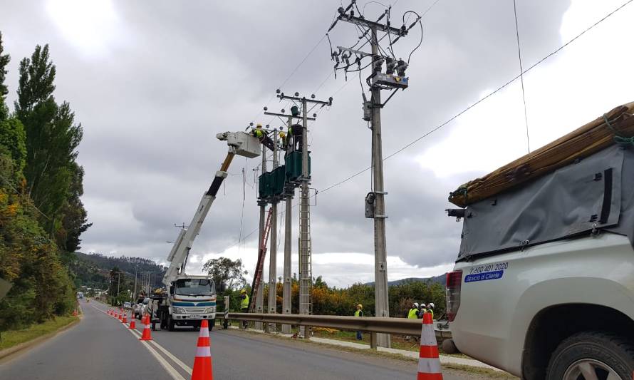 Saesa realizó trabajos para mejorar la calidad de servicio en la costa de Valdivia