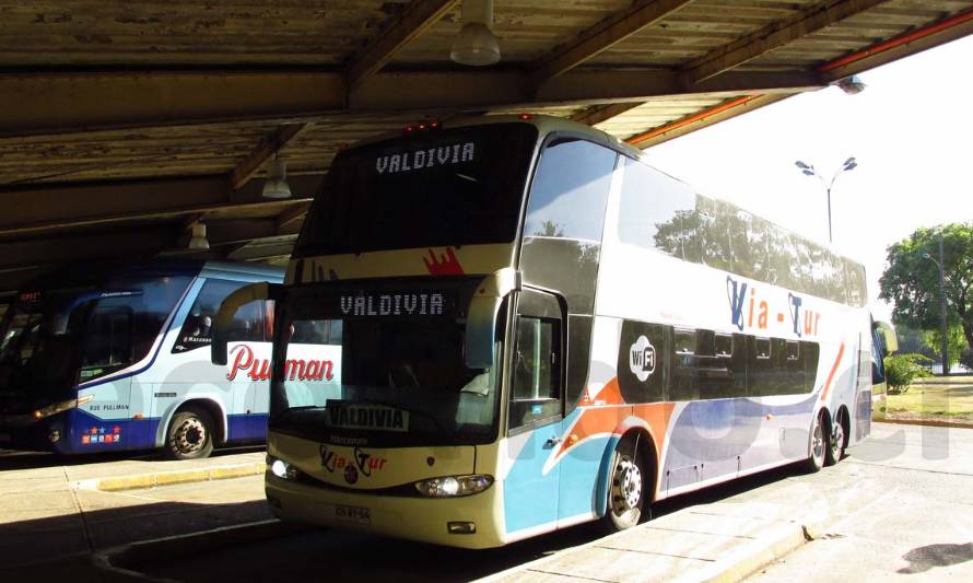 Atentos viajeros: ¿Qué hacer si se debe cancelar un pasaje en bus? 