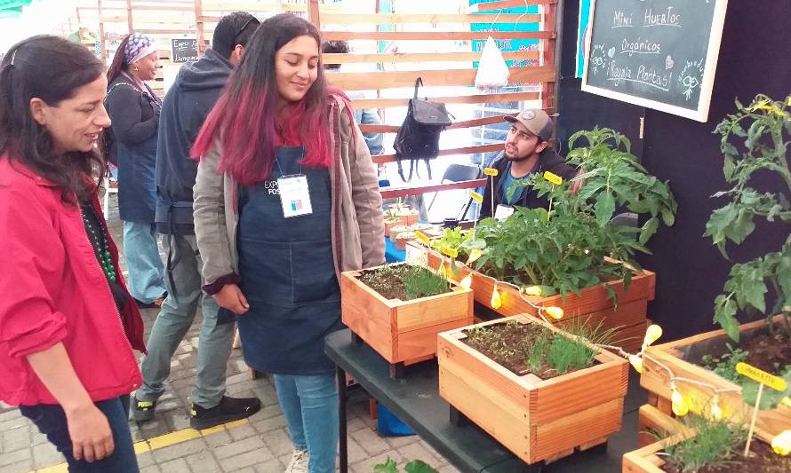 Emprendedores de ExpoFOSIS en Niebla sacan cuentas alegres 