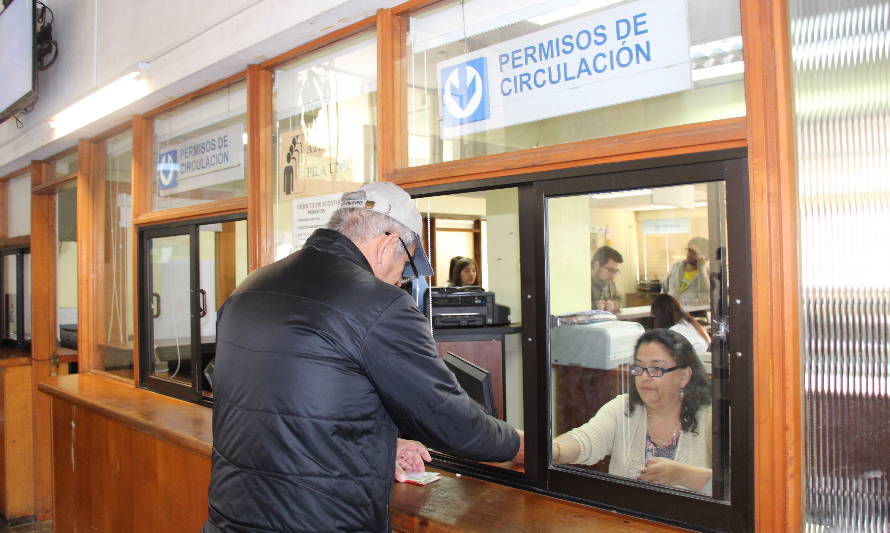 Este viernes la Municipalidad de Valdivia habilitará puntos para pago de permiso de circulación