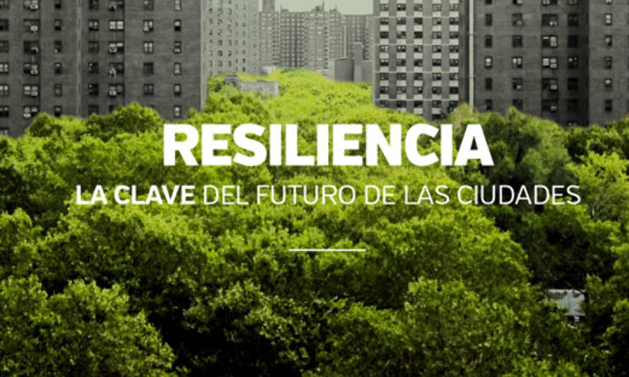 Ministerio de Ciencia lidera taller sobre sustentabilidad y resiliencia urbana  